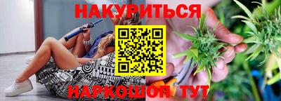 мяу мяу мука Будённовск